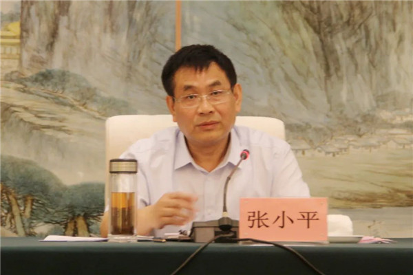 張小平赴景德鎮(zhèn)調研碳達峰碳中和工作