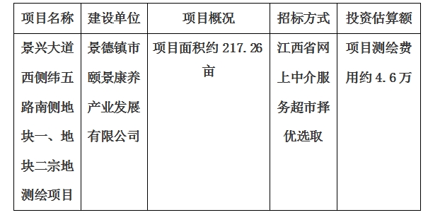 景興大道西側緯五路南側地塊一、地塊二宗地