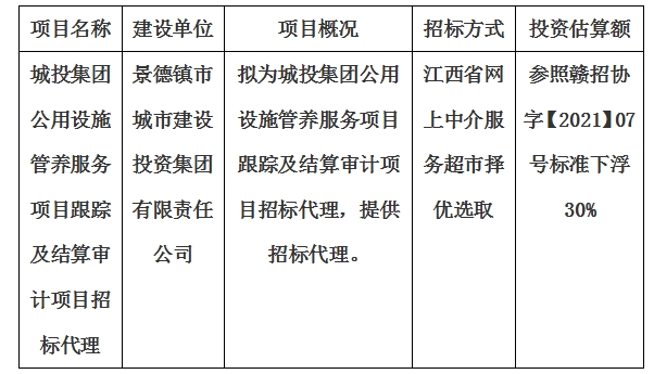 城投集團公用設施管養服務項目跟蹤及結算審計項目招標代理計劃公告