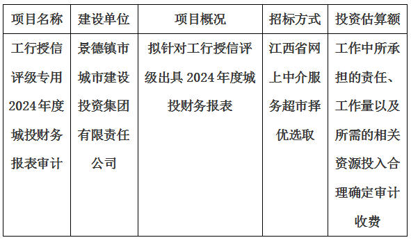工行授信評級專用2024年度城投財(cái)務(wù)報(bào)表審計(jì)報(bào)告出具單位選取計(jì)劃公告